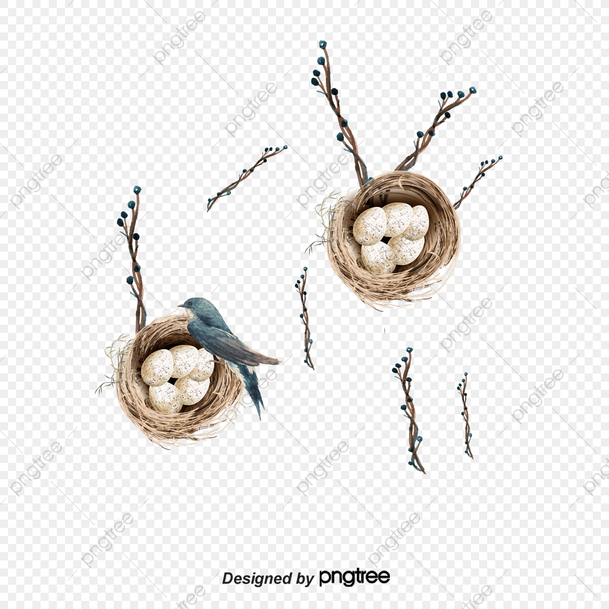 1200x1200 Cartoon Bird Nest Vector, Cartoon Vector, Bird Vector, Cartoon