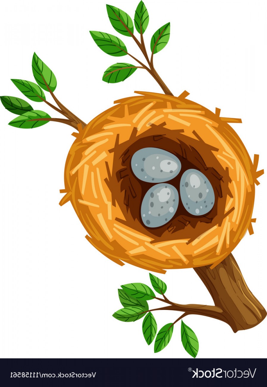 Bird Nest Vector at Vectorified.com | Collection of Bird Nest Vector ...