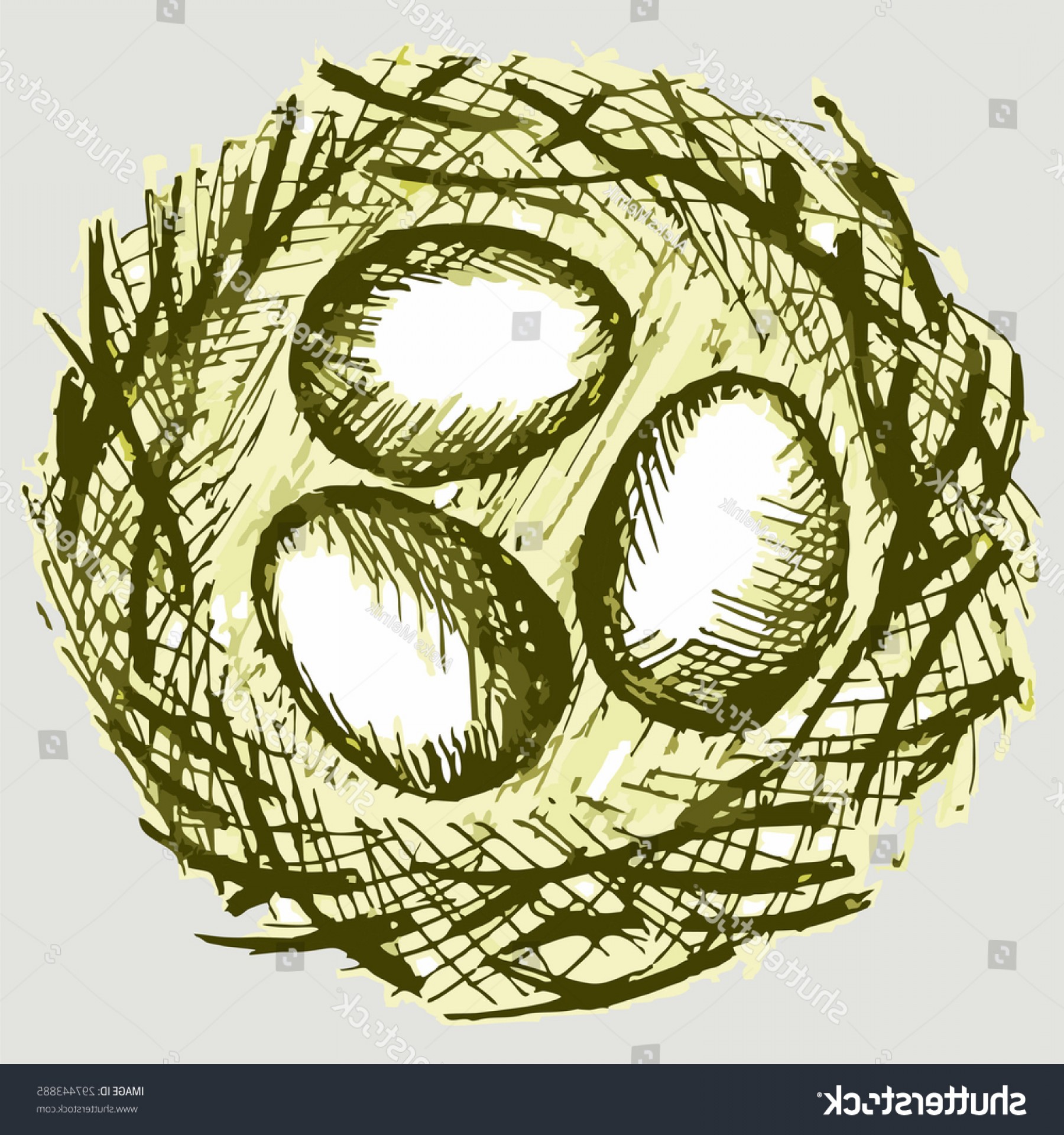 1800x1920 Bird Eggs Nest Vector Image Wallkeeper