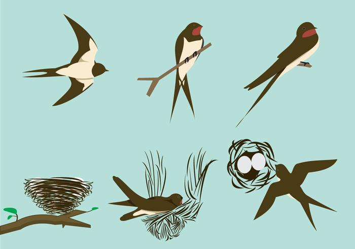 700x490 Swallows And The Nests Vector