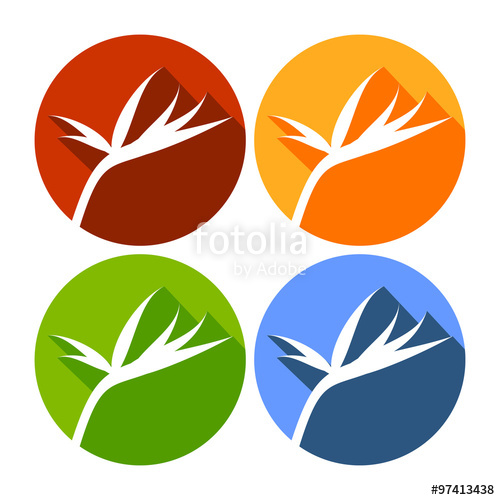 Bird Of Paradise Flower Circle Flat Icons Stock Image And Royalty 500x500 Bird Of Paradise Flower Circle Flat Icons Stock Image And Royalty