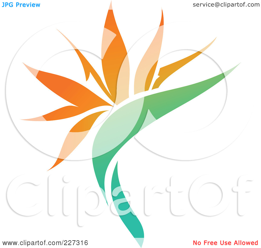 Bird Of Paradise Clipart Free Cliparts Download Images 1080x1024 Bird Of Paradise Clipart Free Cliparts Download Images