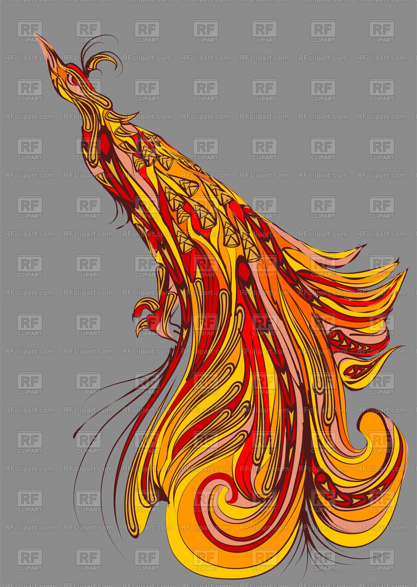 Bird Of Paradise On Gray Background Vector Image Of Backgrounds 853x1200 Bird Of Paradise On Gray Background Vector Image Of Backgrounds