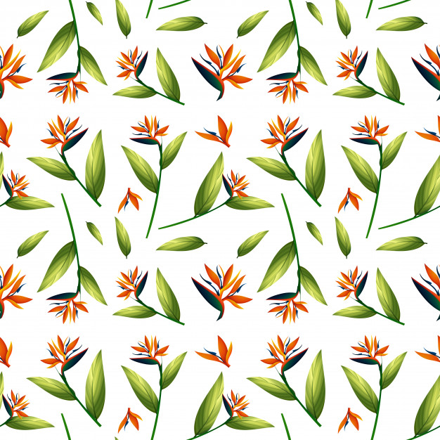 Bird Of Paradise Seamless Pattern Vector Free Download 626x626 Bird Of Paradise Seamless Pattern Vector Free Download