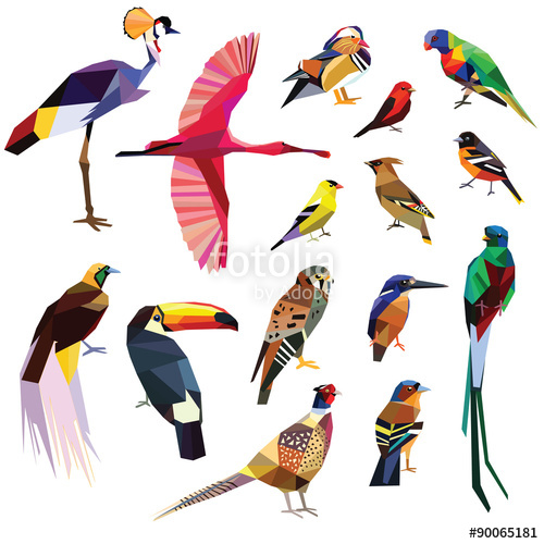 Birds Set Colorful Birds Low Poly Design Isolated On White 500x500 Birds Set Colorful Birds Low Poly Design Isolated On White