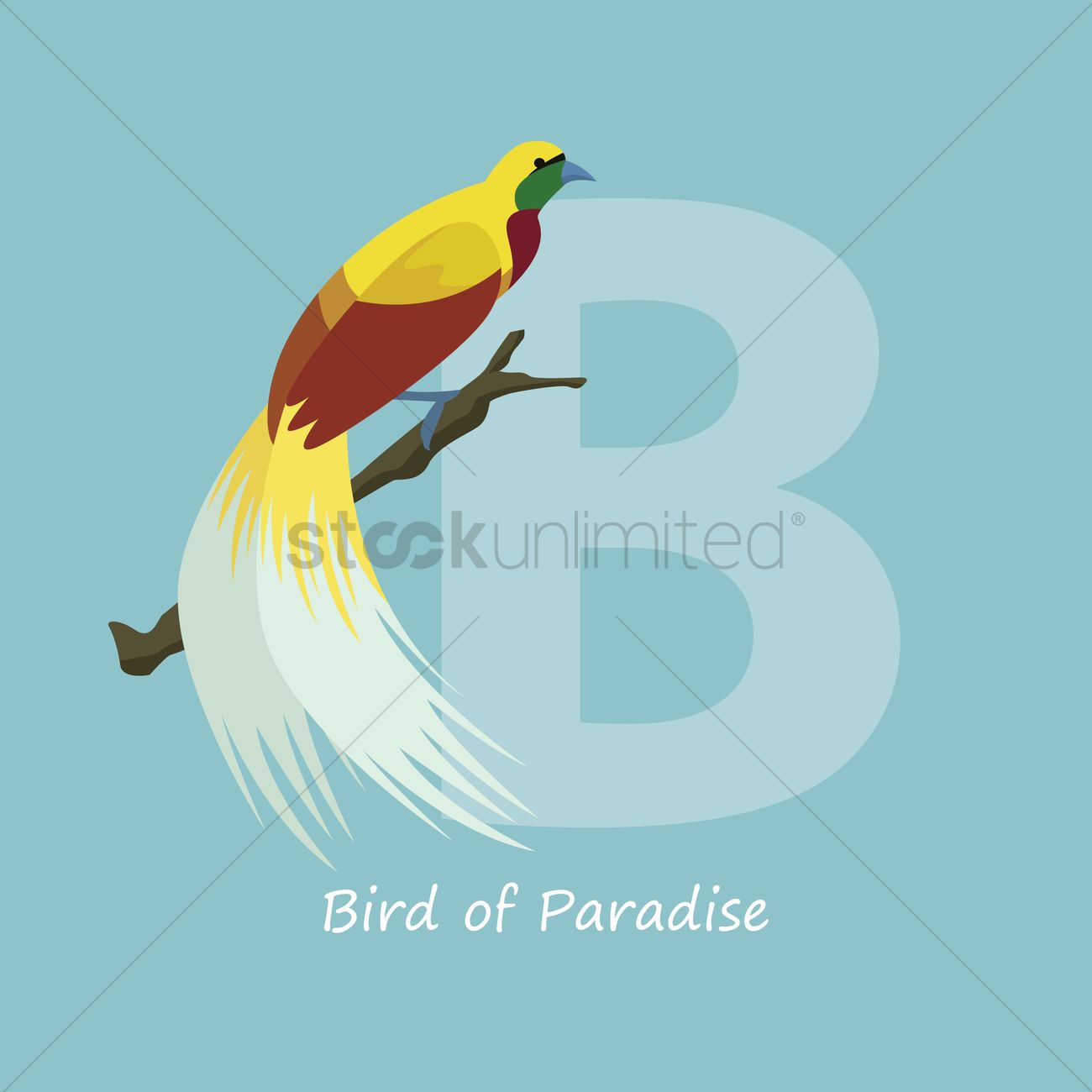 Free Letter B For Bird Of Paradise Vector Image 1300x1300 Free Letter B For Bird Of Paradise Vector Image