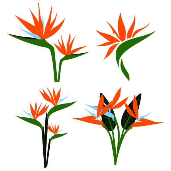Flowers And Nature In Bird 600x600 Flowers And Nature In Bird