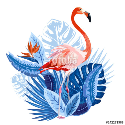 Pink Flamingo And Tropical Palm Leaves, Plants, Bird Of Paradise 500x500 Pink Flamingo And Tropical Palm Leaves, Plants, Bird Of Paradise