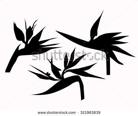 Bird Of Paradise Flower Silhouette 450x376 Bird Of Paradise Flower Silhouette