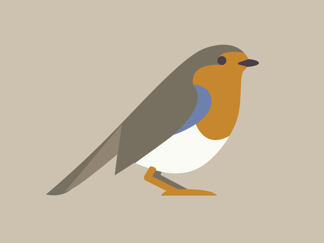 Bird Paradise Branding Robin 1080x810 Bird Paradise Branding Robin
