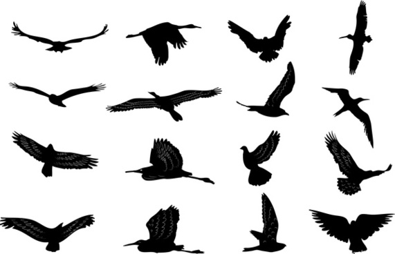571x368 Bird Silhouette Free Vector Download