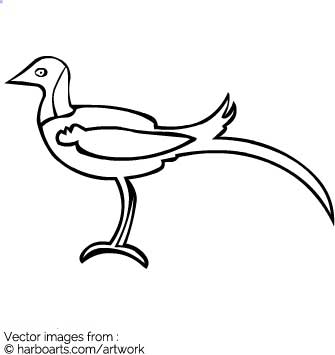 335x355 Download Long Tail Bird Outline