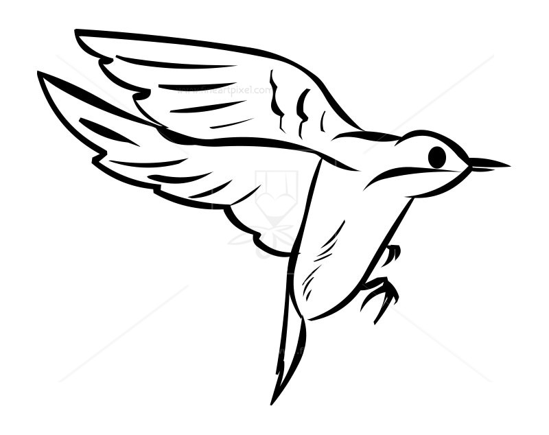 800x634 Flying Bird Outline Clip Art Free Vectors, Illustrations, Graphics