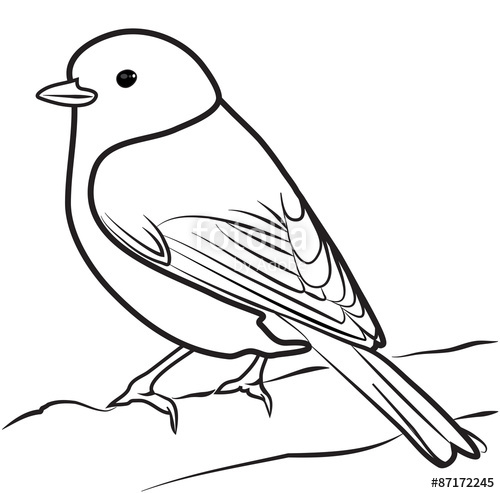 500x493 Bird Outline Vector Stock Image And Royalty Free Vector
