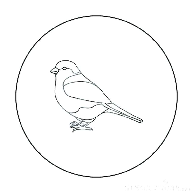 800x800 Outline Of A Bird Sparrow Outline Sparrow Icon In Outline Style