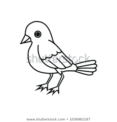 450x470 Bird Outline
