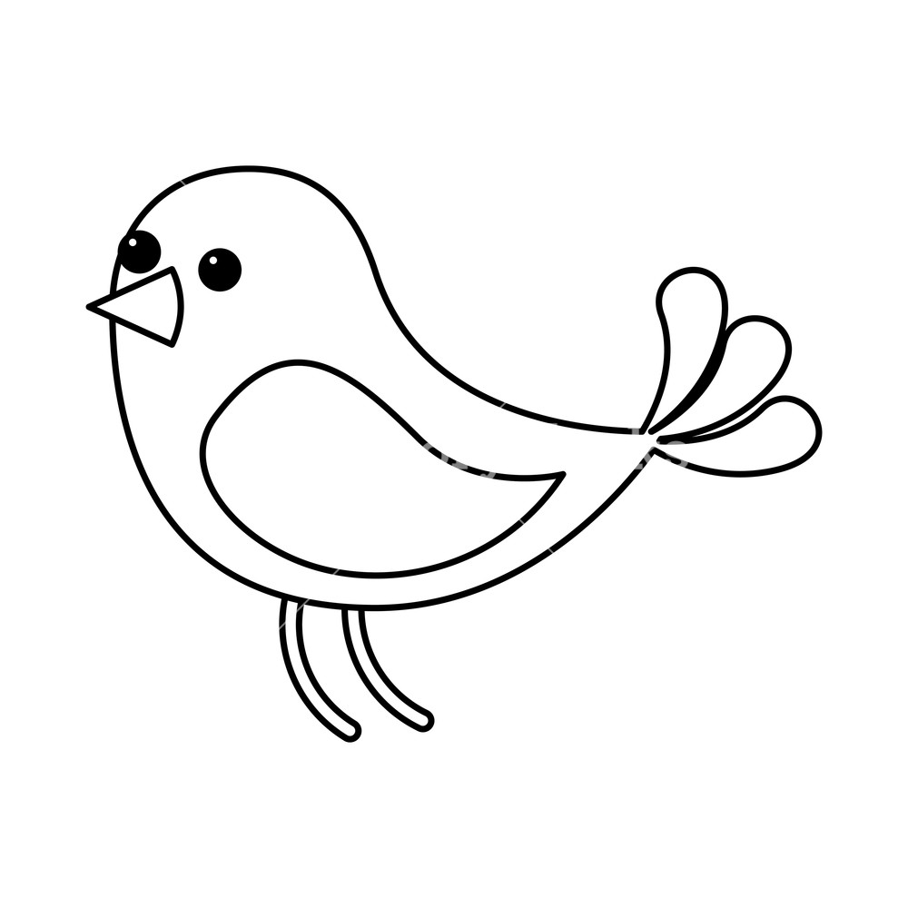 1000x1000 Cute Bird Animal Wildlife Image Vector Illustration Outline Image