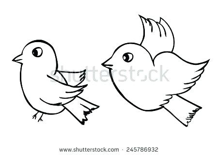 450x320 Outline Of A Bird