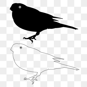 360x360 Bird Silhouette Png Images Vector And Free Download