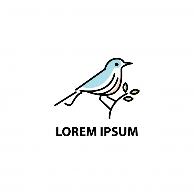 626x626 Bird Logo Colorful Line Art Monoline Outline Illustration Vector