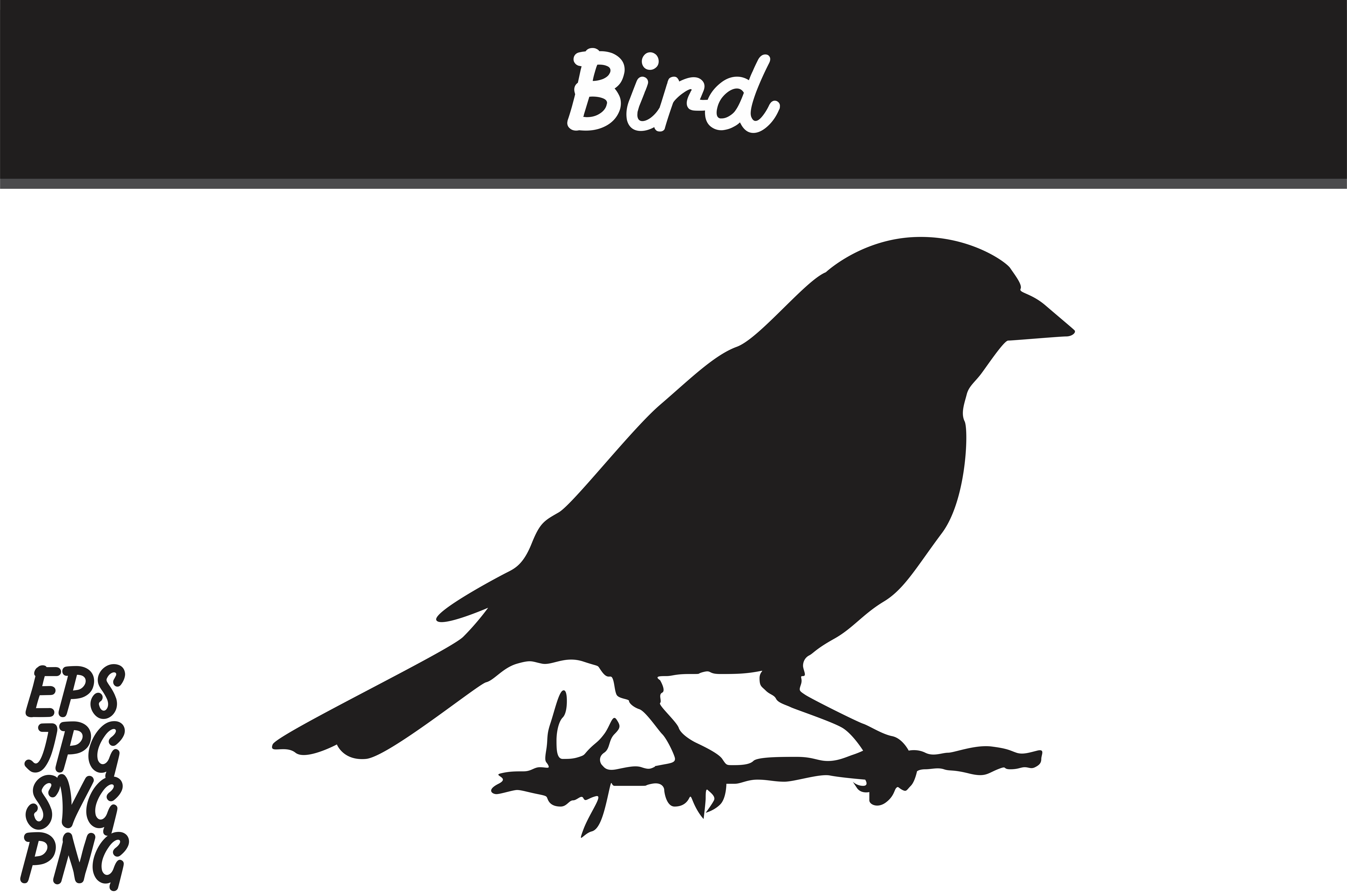 7514x5000 Bird Silhouette Vector Image Graphic
