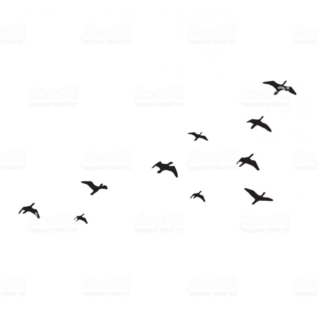 1228x1228 Flying Birds Silhouettes On White Background Vector Illustration