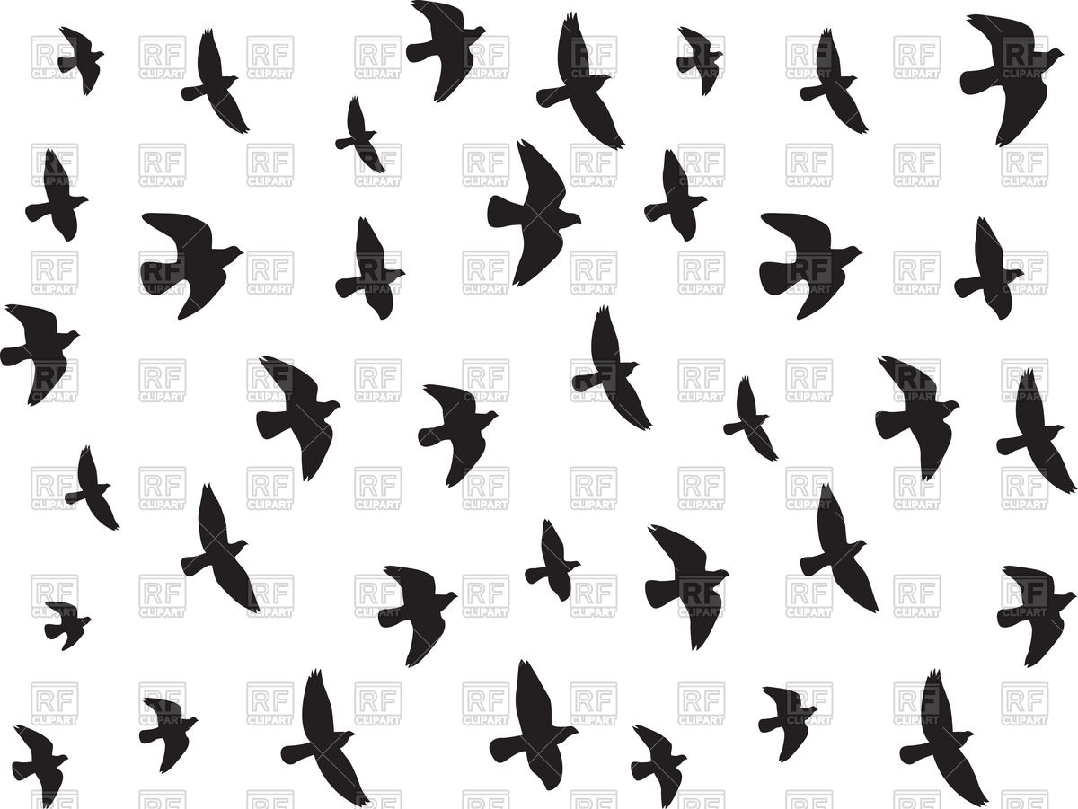 1200x901 Flying Birds Silhouettes Vector Image Of Backgrounds, Textures