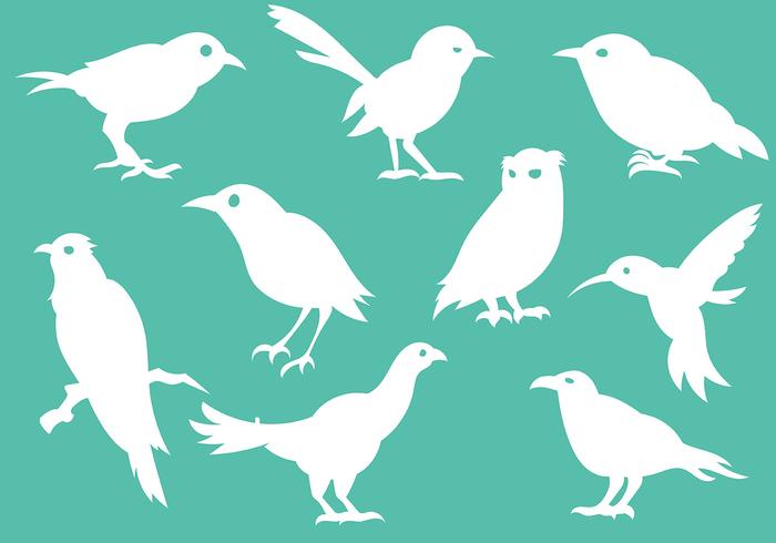 700x490 Bird Free Vector Art Free Downloadable