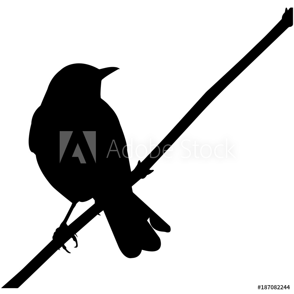 1000x1000 Photo Art Print Mocking Bird Silhouette Vector Graphics