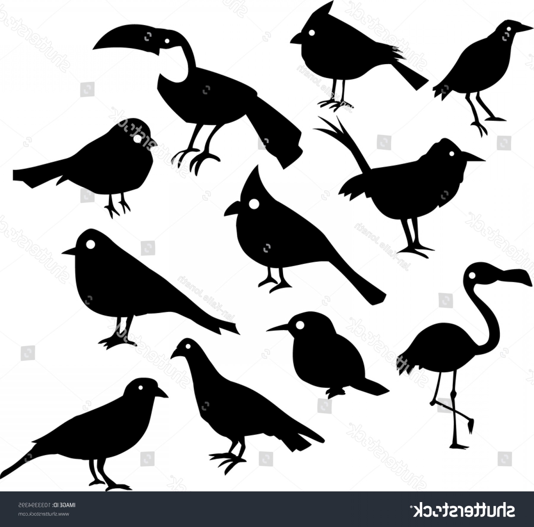 1800x1776 Set Hand Painted Vector Bird Silhouettes Handandbeak