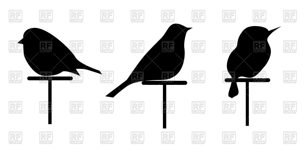 1200x600 Silhouettes Of Birds Vector Image Of Silhouettes, Outlines
