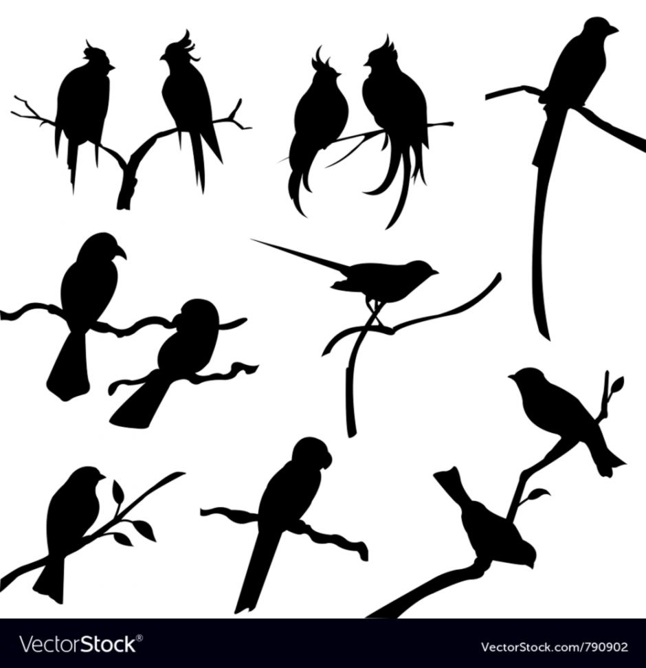 940x972 Bird Silhouette Wallpapers Background