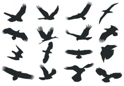 425x295 Bird Silhouette Vector Love Tattoo In Moms Handwriting Bird