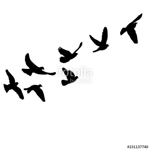 500x500 Isolated Set Of Flying Birds Silhouettes Stock Image And Royalty