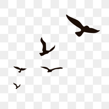 360x360 Bird Silhouette Png Images Vector And Free Download