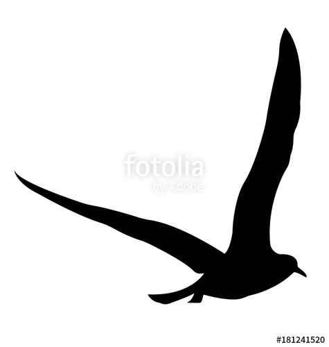 475x500 Bird Silhouette Vector Stock Image And Royalty Free