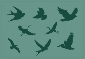Bird Silhouette Free Vector Graphic Art Free Download 285x200 Bird Silhouette Free Vector Graphic Art Free Download