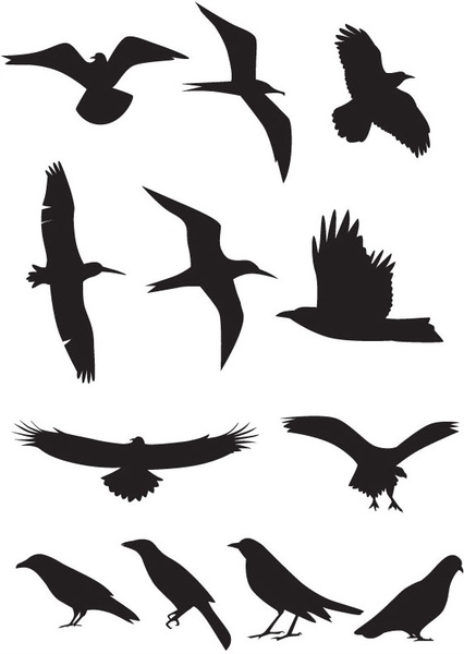 Bird Silhouette Vector Free Vector In Encapsulated Postscript 426x600 Bird Silhouette Vector Free Vector In Encapsulated Postscript