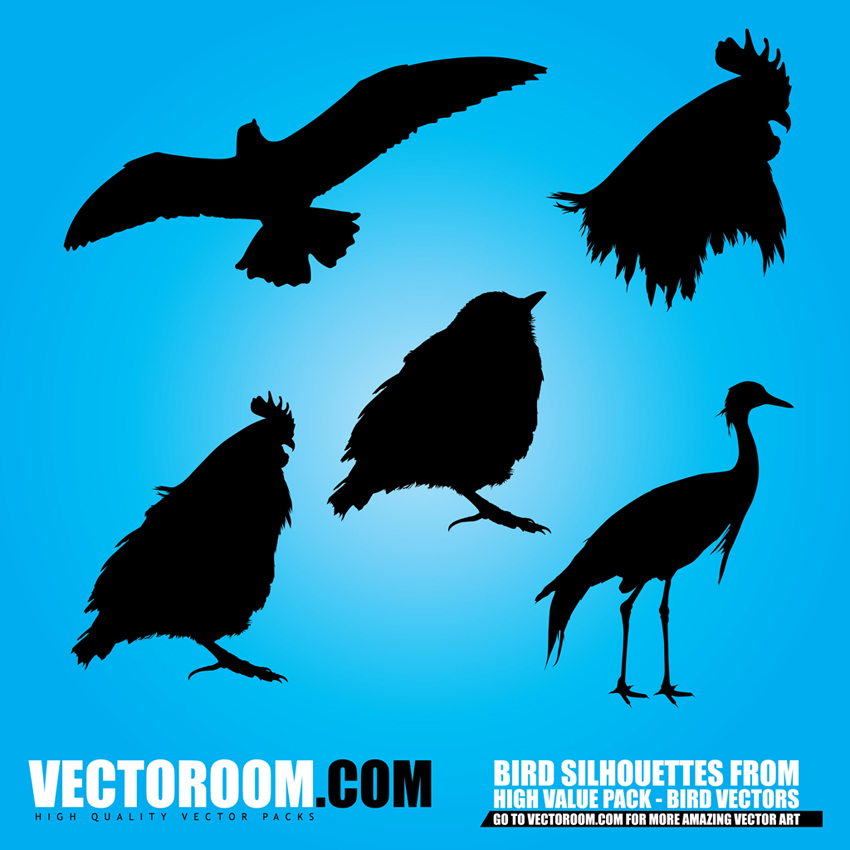 Birds Silhouettes Vector Art Graphics 850x850 Birds Silhouettes Vector Art Graphics