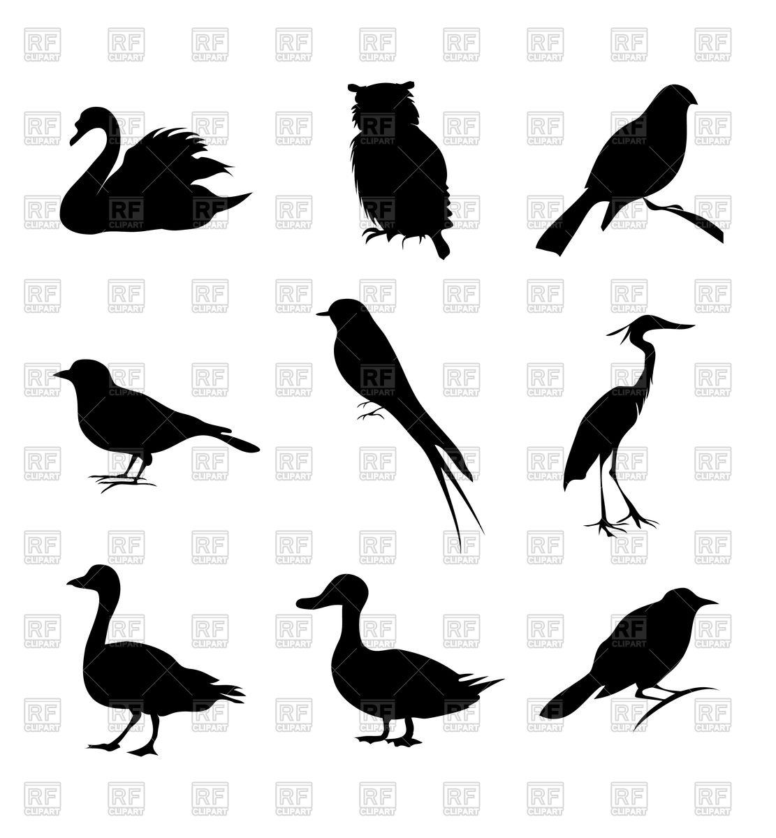 Birds Silhouettes Vector Image Of Plants And Animals 1111x1200 Birds Silhouettes Vector Image Of Plants And Animals