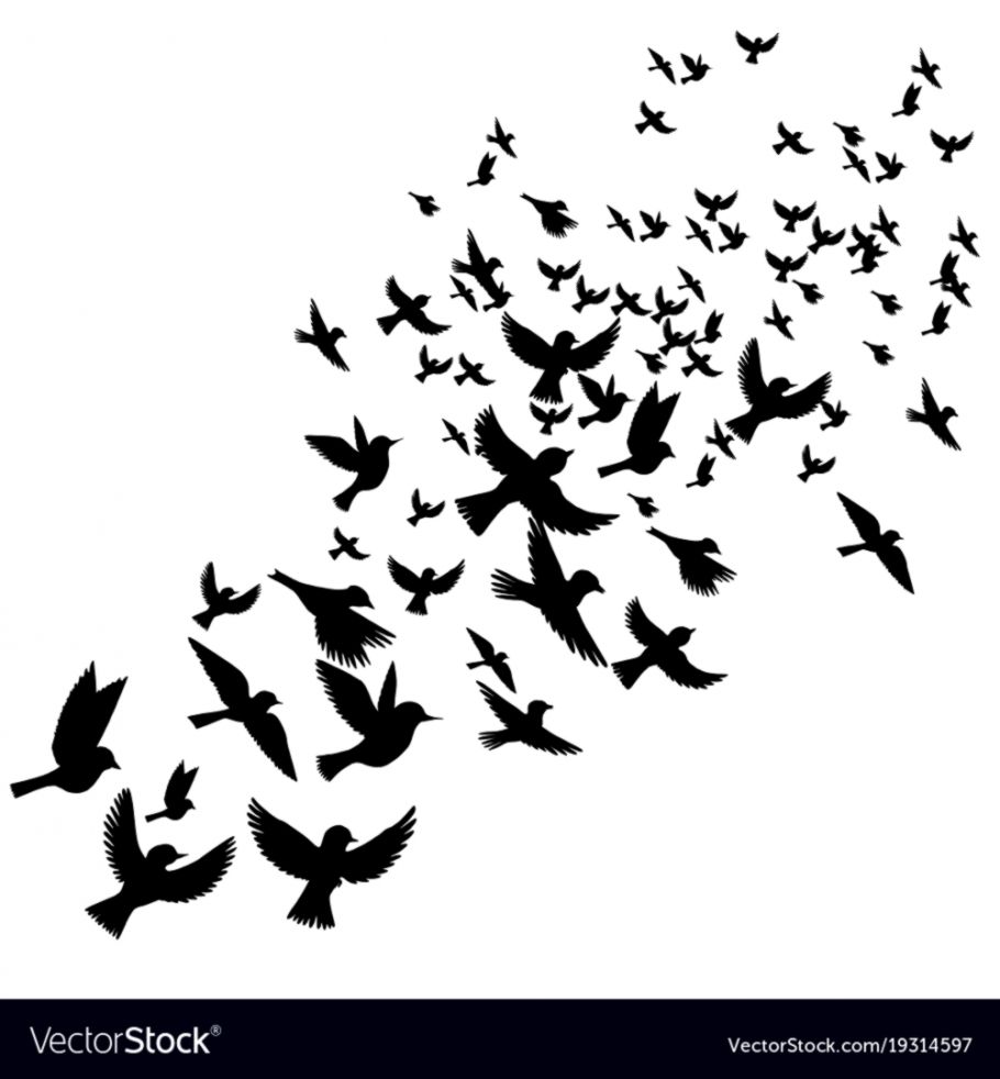 Flying Bird Silhouette 910x982 Flying Bird Silhouette