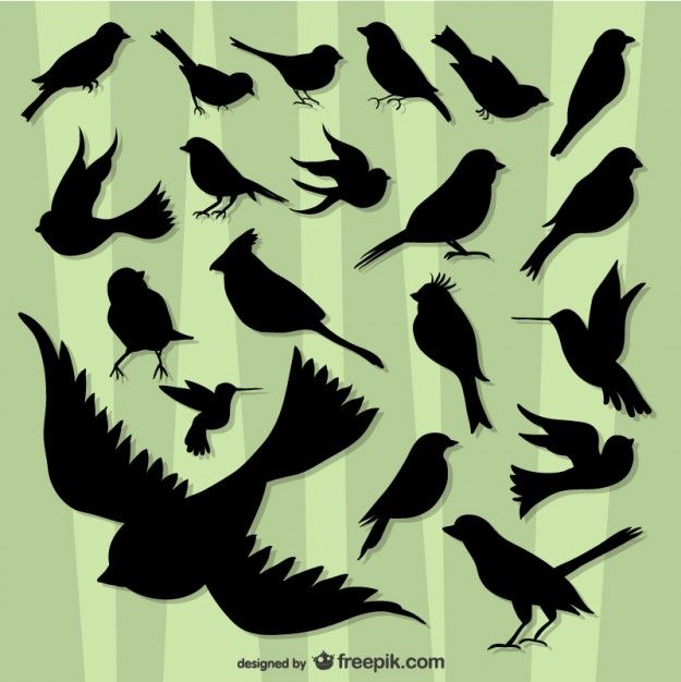 Flying Birds Silhouette Pack Free Vector Screen Printing 625x626 Flying Birds Silhouette Pack Free Vector Screen Printing