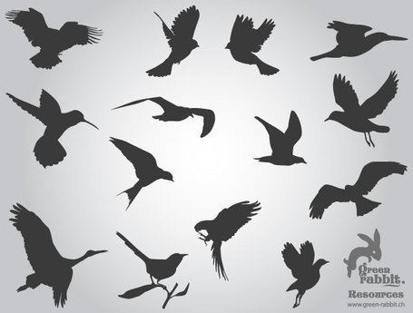 Free Free Flying Birds Silhouettess Clipart And Vector Graphics 455x345 Free Free Flying Birds Silhouettess Clipart And Vector Graphics