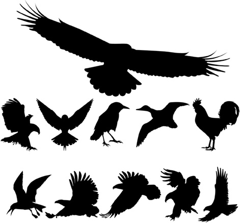 Free Vector Birds Silhouettes Free Cdr Vector Free Download 471x437 Free Vector Birds Silhouettes Free Cdr Vector Free Download