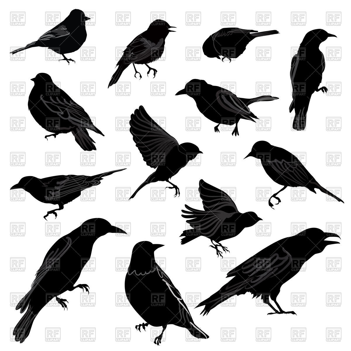 Set Of Birds Silhouette Vector Image Of Silhouettes, Outlines 1200x1200 Set Of Birds Silhouette Vector Image Of Silhouettes, Outlines