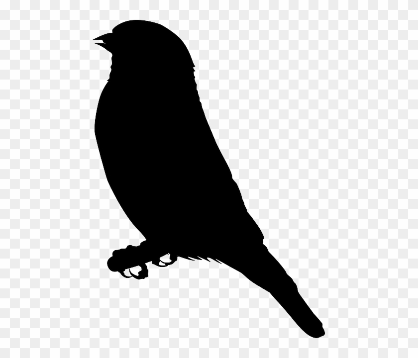 Download Bird Silhouette Vector Free at Vectorified.com | Collection of Bird Silhouette Vector Free free ...