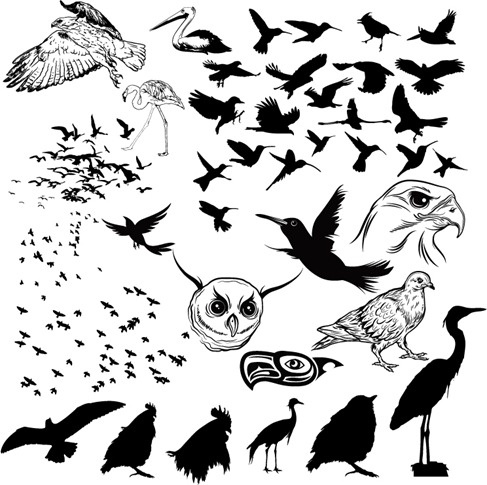 Vector Birds Silhouettes Free Vector In Adobe Illustrator 487x485 Vector Birds Silhouettes Free Vector In Adobe Illustrator