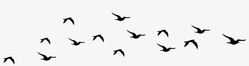 Bird Silhouette Cliparts Free Download Clip Art Free 820x217 Bird Silhouette Cliparts Free Download Clip Art Free