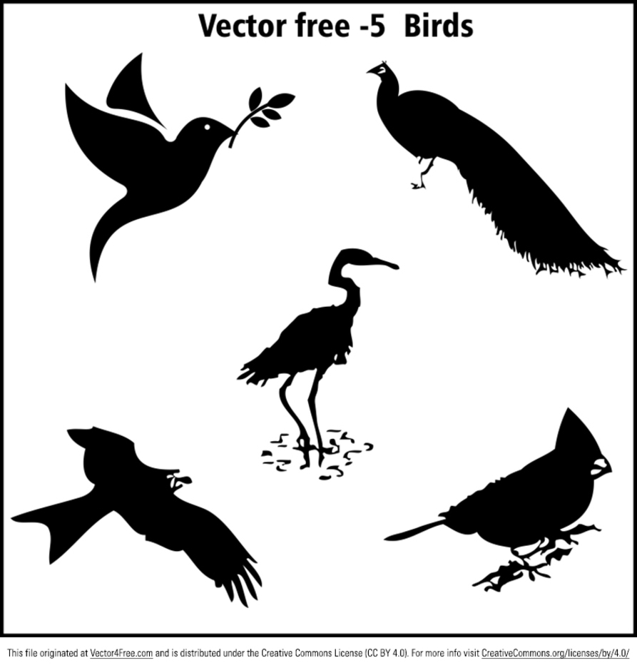 Bird Silhouette Vectors 893x936 Bird Silhouette Vectors