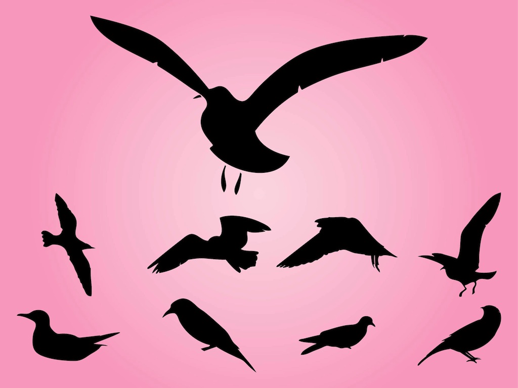 Bird Silhouettes Vectors Vector Art Graphics 1024x768 Bird Silhouettes Vectors Vector Art Graphics